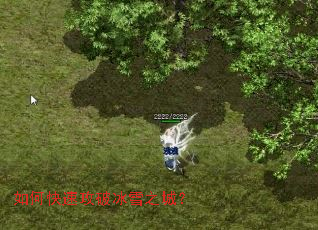 ��ο��ٹ��Ʊ�ѩ֮�ǣ�