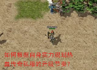 如何根据自身实力规划热血传奇私服的升级节奏? 如何根据自身实力规划热血传奇私服的升级节奏?