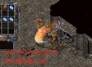 如何高效养成法师宝宝称霸热血江湖? 如何高效养成法师宝宝称霸热血江湖?