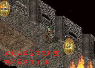 如何高效养成法师宝宝称霸热血江湖? 如何高效养成法师宝宝称霸热血江湖?