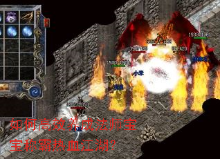 如何高效养成法师宝宝称霸热血江湖? 如何高效养成法师宝宝称霸热血江湖?