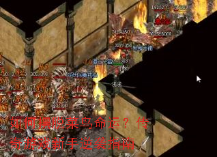 如何摆脱菜鸟命运?传奇游戏新手逆袭指南 如何摆脱菜鸟命运?传奇游戏新手逆袭指南