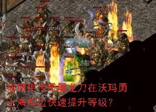 如何用传奇屠龙刀在沃玛勇士海那边快速提升等级? 如何用传奇屠龙刀在沃玛勇士海那边快速提升等级?