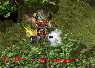 ս������������ܻ����Щ���ƣ�