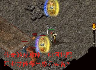 ������Ϸ���ԣ���δ���ְҵ���ܱ�����Ʒװ����