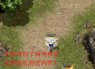 �����ϸ�˽⴫����Ϸ������������ݣ�