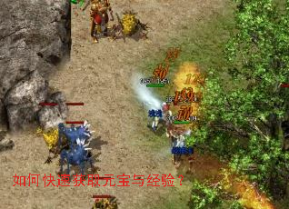 ��ο��ٻ�ȡԪ���뾭�飿