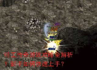 �ع�������Ϸ����ȫ������������ο������֣�