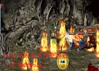 ��������ɱ������Ϸ�е�ǿ��boss��