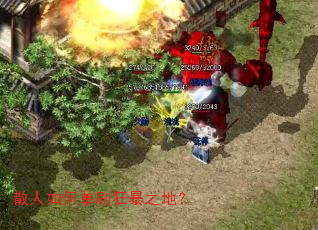 ɢ����ε�ˢ��֮�أ�