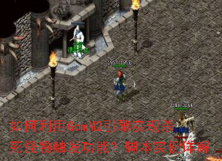 如何利用GomM2引擎实现杀死怪物触发功能?脚本实例详解 如何利用GomM2引擎实现杀死怪物触发功能?脚本实例详解