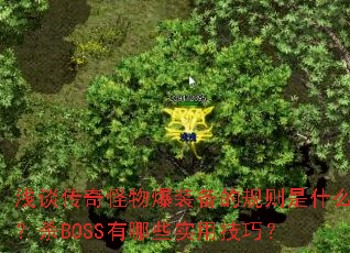 ǳ̸������ﱬװ���Ĺ�����ʲô��ɱBOSS����Щʵ�ü��ɣ�