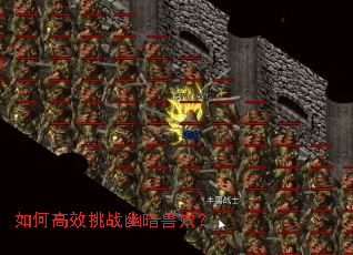 如何高效挑战幽暗兽穴? 如何高效挑战幽暗兽穴?