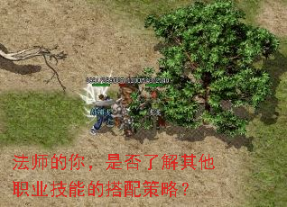 法师的你,是否了解其他职业技能的搭配策略? 法师的你,是否了解其他职业技能的搭配策略?