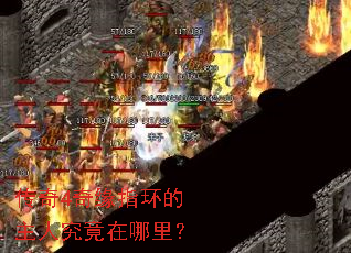 ����4��Եָ�������˾��������