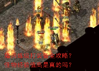 猪洞练级打装备全攻略?怪物经验值高是真的吗? 猪洞练级打装备全攻略?怪物经验值高是真的吗?