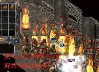 ����С���������⹲�����Ŀ��ܣ�