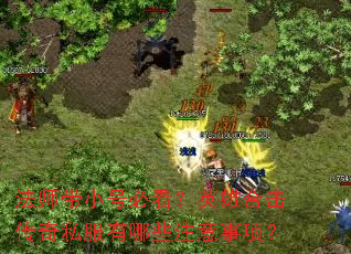 ��ʦ��С�űؿ���Ӣ�ۺϻ�����˽������Щע�����