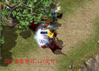如何查看带石.txt文件? 如何查看带石.txt文件?