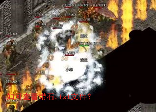 如何查看带石.txt文件? 如何查看带石.txt文件?