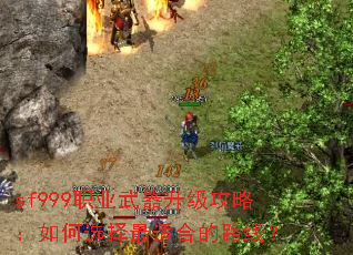 sf999职业武器升级攻略:如何选择最适合的路线? sf999职业武器升级攻略:如何选择最适合的路线?