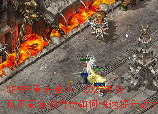 SF999�ذ��Ƽ���2025����治봽�Ĵ�����ο�������ս����