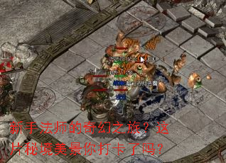 ���ַ�ʦ�����֮�ã���Ƭ�ؾ������������