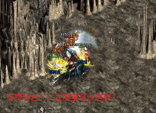 ������ɫBOSS���������������