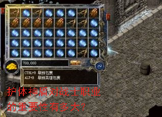 ������ܶ�սʿְҵ����Ҫ���ж��