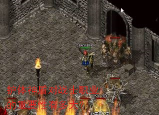 ������ܶ�սʿְҵ����Ҫ���ж��