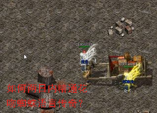 ��������ھ�ͨ����֩�����Դ��棿