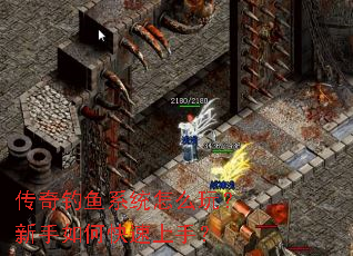 �������ϵͳ��ô�棿������ο������֣�