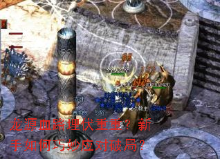 ��ԴѪ·������أ������������Ӧ���ƾ֣�