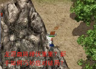 ��ԴѪ·������أ������������Ӧ���ƾ֣�