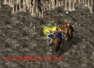 ��ο������յ�ʿ��ɱ������