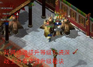 ��ο��������ȼ�������սʿ������Ч�����ؾ�