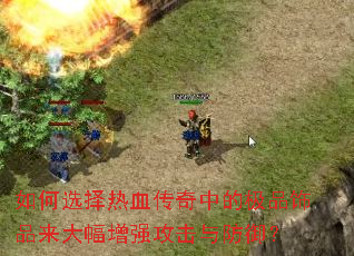 ���ѡ����Ѫ�����еļ�Ʒ��Ʒ�������ǿ�����������