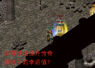 ��ο�������������Ϸ�е�����ֵ��