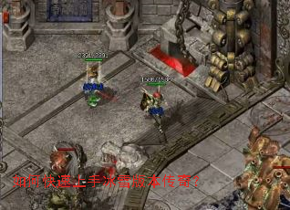 ��ο������ֱ�ѩ�汾���棿