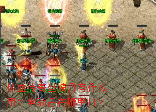 ��Ѫ�������ﵤ��ʲô�ã����ﵤ�������