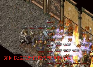 如何快速提升白蛇传奇神装等级? 如何快速提升白蛇传奇神装等级?