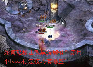 ������ɻ��ܺ���֩�룿����Сboss�򷨼�������Щ��