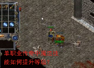 ��ְҵ������ħ��������������ȼ���