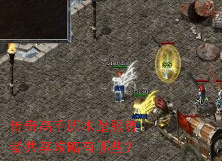 传奇高手脚本踏服尊者共享攻略有哪些? 传奇高手脚本踏服尊者共享攻略有哪些?