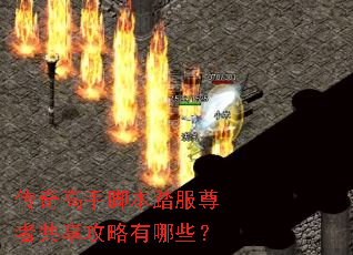 传奇高手脚本踏服尊者共享攻略有哪些? 传奇高手脚本踏服尊者共享攻略有哪些?
