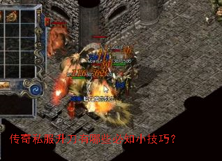 ����˽����������Щ��֪С���ɣ�