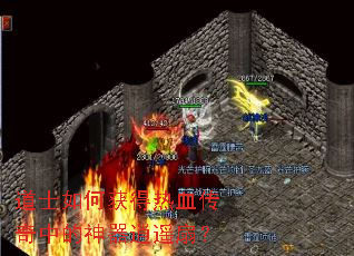 ��ʿ��λ����Ѫ�����е�������ң�ȣ�