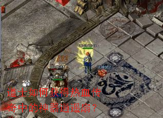 ��ʿ��λ����Ѫ�����е�������ң�ȣ�