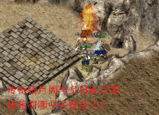 传奇银月阁与炙日阁探宝秘籍有哪些关键技巧? 传奇银月阁与炙日阁探宝秘籍有哪些关键技巧?