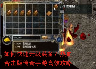 ��ο�������װ������Ѫ�ϻ��洫�����θ�Ч����